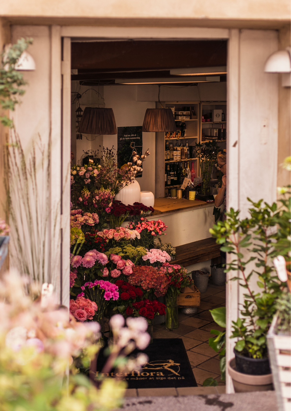 Rose Geranium Oil, flower shop