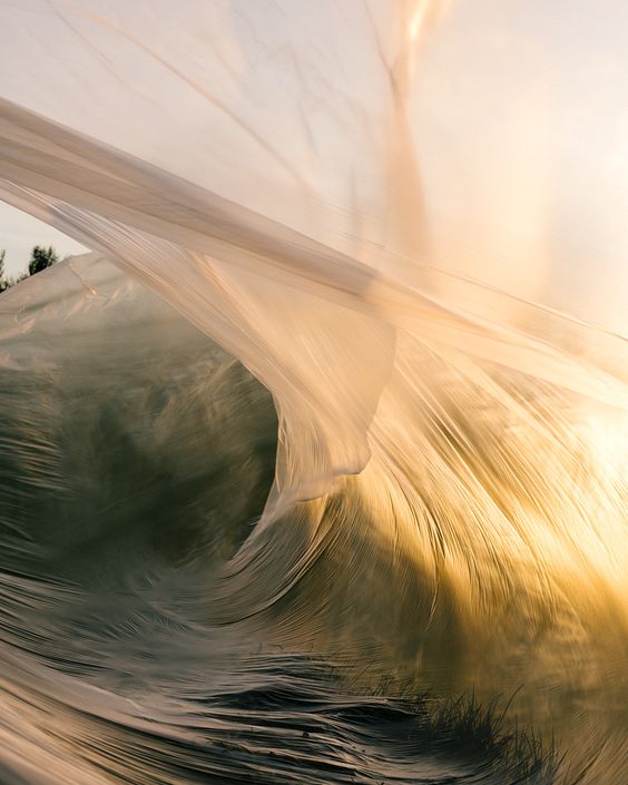 The elements of herbalism, plastic wrap moved by wind into shape of a wave